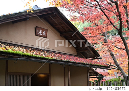 11月、日本建築の屋根にたまったモミジの落ち葉 11月、日本建築の屋根にたまったモミジの落ち葉 142483671