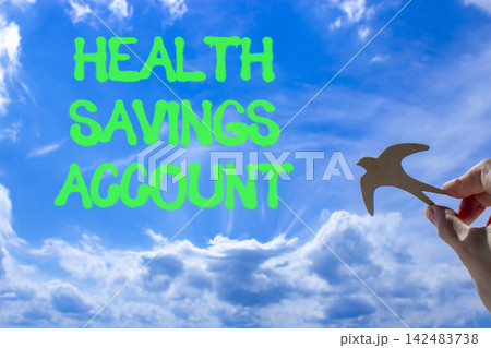 Health saving account symbol. Concept words Health saving account on beautiful blue sky. Beautiful blue sky background. Wooden bird. Businessman hand. Medical Health saving account concept. Copy space Health saving account symbol. Concept words Health saving account on beautiful blue sky. Beautiful blue sky background. Wooden bird. Businessman hand. Medical Health saving account concept. Copy space 142483738