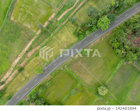Aerial top down view of asphalt road crossing green agricultural fields in rural countryside. Farmland and transport infrastructure connecting communities. Agricultural landscape. Farming landscape. Aerial top down view of asphalt road crossing green agricultural fields in rural countryside. Farmland and transport infrastructure connecting communities. Agricultural landscape. Farming landscape. 142483894