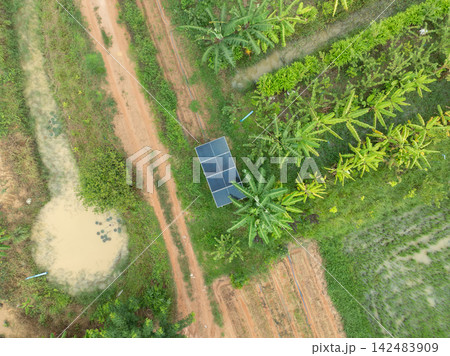 Solar powered agriculture with photovoltaic panels. Clean energy use for sustainable farming and food security. Renewable energy supporting climate smart agriculture and rural sustainability. Solar powered agriculture with photovoltaic panels. Clean energy use for sustainable farming and food security. Renewable energy supporting climate smart agriculture and rural sustainability. 142483909