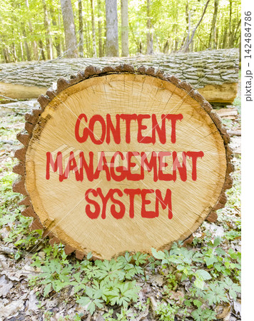 Content management system symbol. Concept words Content management system on beautiful wooden circle. Beautiful green forest background. Business content management system concept. Copy space. 142484786