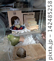 リンゴを食べるハムスター 142485258