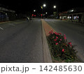 花壇が浮かぶ深夜の通り—街灯が照らすブロークンヒル中心街の夜景記録 142485630