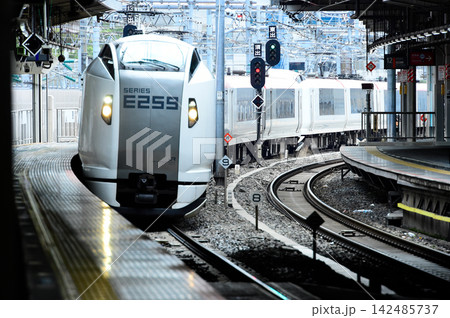 駅ホームに到着する成田エクスプレスE259系 駅ホームに到着する成田エクスプレスE259系 142485737