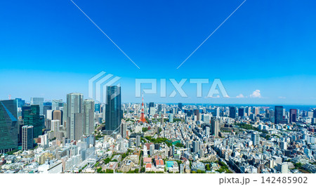 青空が広がる東京の都市パノラマ 142485902
