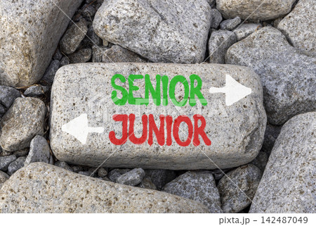 Senior or junior words symbol. Concept words Senior Junior on beautiful grey stone. Beautiful grey stones background. Business and senior or junior concept. Copy space. 142487049