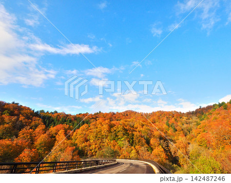 紅葉の山を貫く道と澄んだ秋空 小安峡へのドライブ 紅葉の山を貫く道と澄んだ秋空 小安峡へのドライブ 142487246