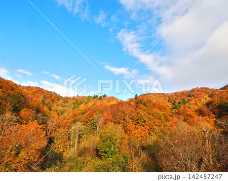 青空に映える紅葉の稜線 秋の小安峡 青空に映える紅葉の稜線 秋の小安峡 142487247