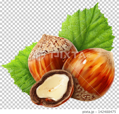 hazelnut 142488475