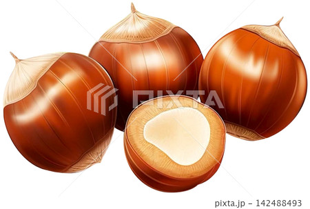 hazelnut hazelnut 142488493