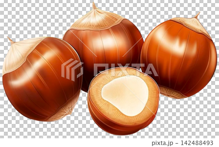 hazelnut hazelnut 142488493
