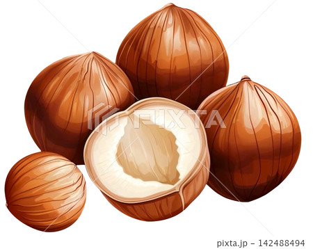 hazelnut 142488494