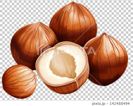hazelnut 142488494