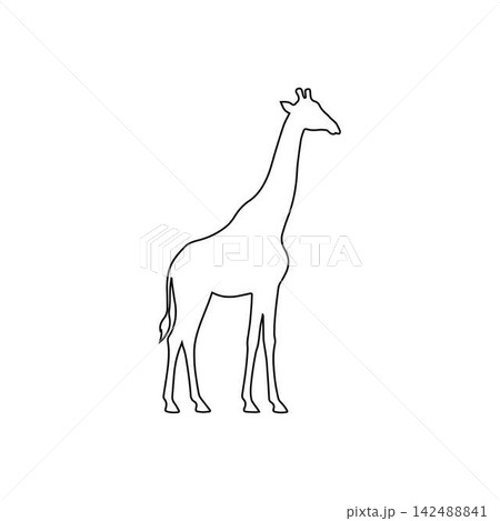 standing giraffe outline isolated on white background standing giraffe outline isolated on white background 142488841