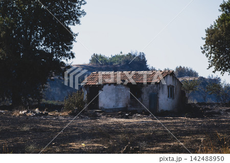 Burned House Surrounded by Wildfire Damage. Burned House Surrounded by Wildfire Damage. 142488950