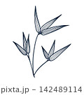 Elegant botanical line art with stylized leaves of a bamboo on white background. Suitable as a design element for floral branding, stationery, packaging, textiles and decorative prints. 142489114