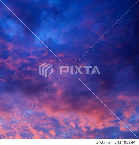 deep blue dusk sky with vibrant pink illuminated clouds clustered along the lower section deep blue dusk sky with vibrant pink illuminated clouds clustered along the lower section 142489144