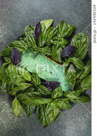 Green pesto gouda cheese with fresh basil leaves on dark background 142490104
