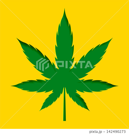 papercut style marijuana cannabis leaf design background papercut style marijuana cannabis leaf design background 142490273