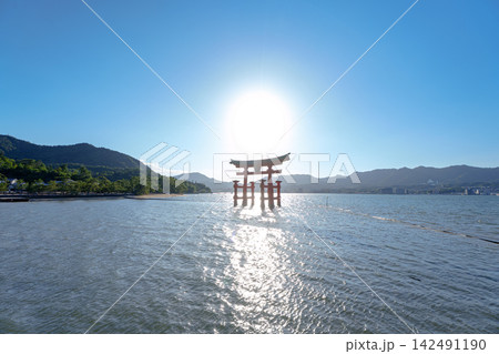 世界遺産・宮島にある厳島神社の美しい社殿と朱塗りの鳥居 142491190