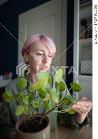 Pink haired woman examines potted pilea leaves beside zamioculcas at home gardening desk indoors. Pink haired woman examines potted pilea leaves beside zamioculcas at home gardening desk indoors. 142491568