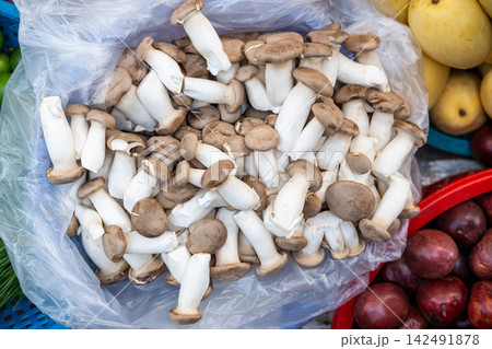 Plastic bag filled with King Oyster mushrooms (Pleurotus eryngii), selling at street food market. Plastic bag filled with King Oyster mushrooms (Pleurotus eryngii), selling at street food market. 142491878