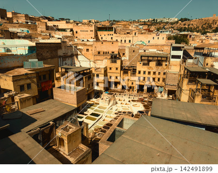 Old Leather Tannery in Fez Morocco 142491899