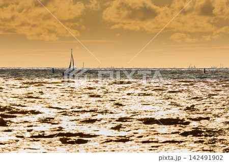 Yachtsmen are sitting amicably on board the boat, sailing boat is in sailing regatta in the Gulf of Finland at sunset, magic splashing water, teamwork 142491902