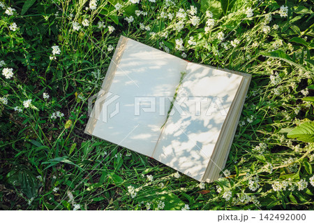 Open book with pressed flower and floral shadow on pages in green meadow Open book with pressed flower and floral shadow on pages in green meadow 142492000