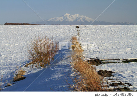 北海道大空町の雪原の原風景と冠雪の山並み 北海道大空町の雪原の原風景と冠雪の山並み 142492390