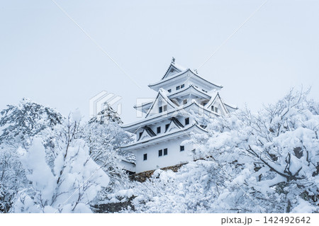 郡上八幡城（冬） 142492642