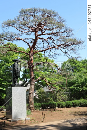 千葉県野田市の慈光山 金乗院の風景 千葉県野田市の慈光山 金乗院の風景 142492781
