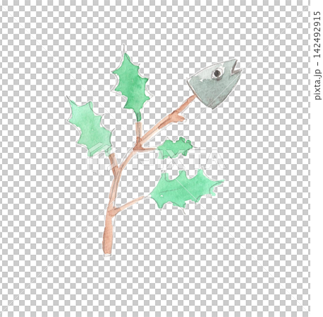 節分に飾られる柊鰯（ひいらぎいわし）の水彩イラスト 142492915