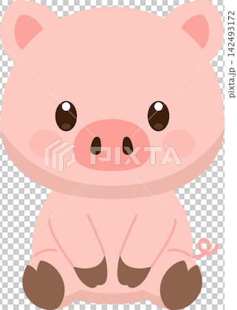 かわいいブタ 142493172