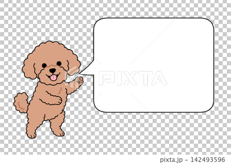 Toy poodle and speech bubble illustration (announcement/notice) Toy poodle and speech bubble illustration (announcement/notice) 142493596