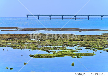 沖縄県豊見城市 瀬長島ウミカジテラスの浜辺と那覇空港の滑走路 沖縄県豊見城市 瀬長島ウミカジテラスの浜辺と那覇空港の滑走路 142494342
