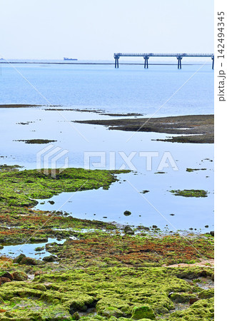 沖縄県豊見城市 瀬長島ウミカジテラスの浜辺と那覇空港の滑走路 沖縄県豊見城市 瀬長島ウミカジテラスの浜辺と那覇空港の滑走路 142494345