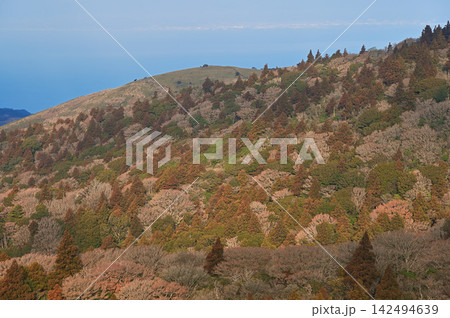 伊豆半島の伊豆山稜線歩道 猫越岳展望台より望む仁科峠展望台 伊豆半島の伊豆山稜線歩道 猫越岳展望台より望む仁科峠展望台 142494639