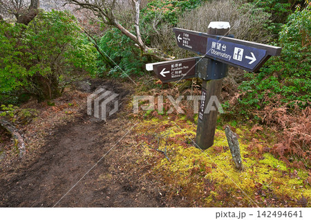 伊豆半島の伊豆山稜線歩道 猫越岳展望台への入口 伊豆半島の伊豆山稜線歩道 猫越岳展望台への入口 142494641