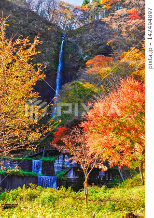 紅葉と船尾滝（縦） 142494897