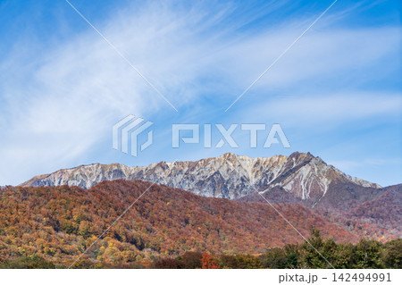 大山の紅葉 142494991