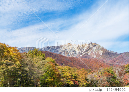 大山の紅葉 大山の紅葉 142494992