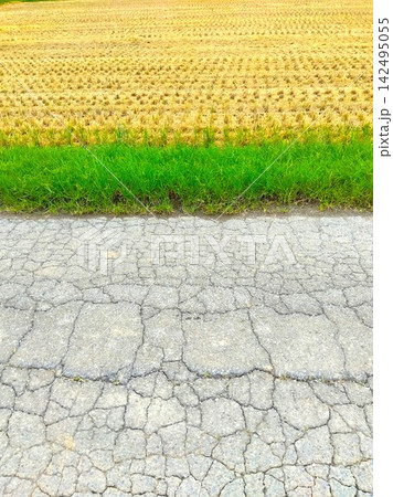 晩夏のひび割れた農道と刈り取りの終わった田甫風景 晩夏のひび割れた農道と刈り取りの終わった田甫風景 142495055