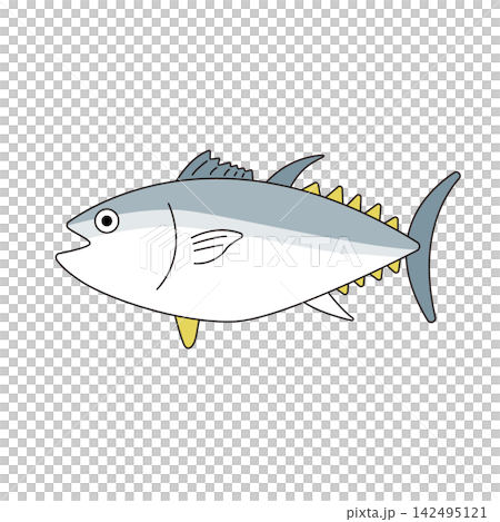 圖片顯示的是一條藍色的鮪魚在遊動，以及新鮮的海魚。 142495121