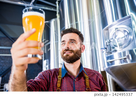 Young brewer wearing a leather apron is testing beer at a modern brewery Young brewer wearing a leather apron is testing beer at a modern brewery 142495337