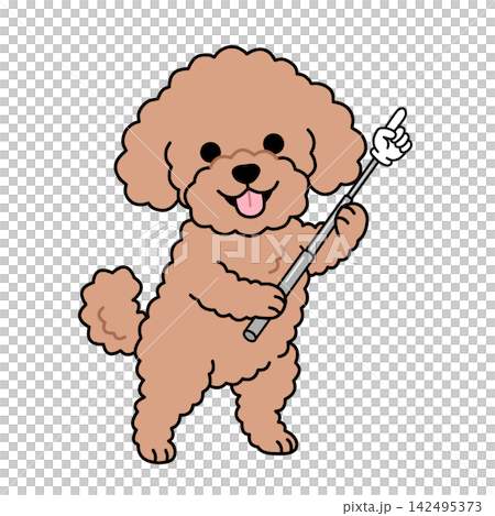 一隻玩具貴賓犬拿著指示棒向上指（表示提供資訊/引起注意）的插圖。 142495373