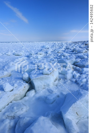 厳寒オホーツク海の流氷 厳寒オホーツク海の流氷 142495682
