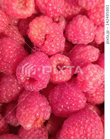 Top down macro view of fresh raspberries. Dense cluster of red summer berries. Vibrant raw fruit background 142495801