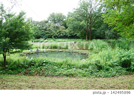 都立武蔵野公園のため池（東京都小金井市） 142495896