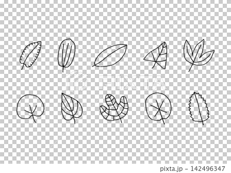 A set of natural line art illustrations of leaves in various shapes (black) A set of natural line art illustrations of leaves in various shapes (black) 142496347
